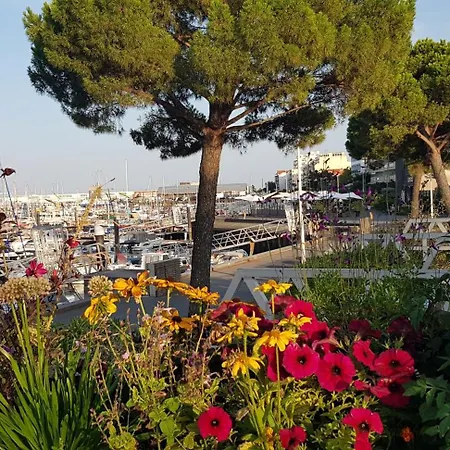 Petit Port - T3 Vue Bassin Apartmán *