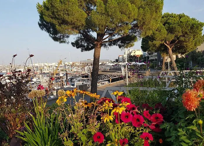 Petit Port - T3 Vue Bassin Apartmán *