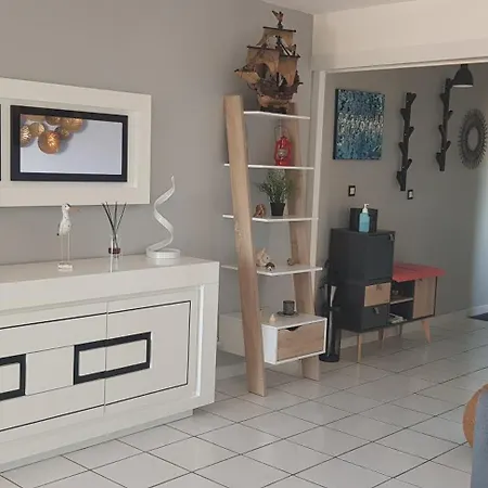 Petit Port - T3 Vue Bassin 公寓 阿卡雄